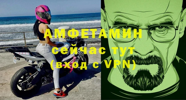 стаф Медногорск
