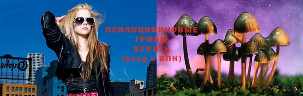 прущие грибы Михайлов