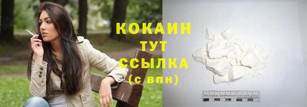 прущие грибы Михайлов