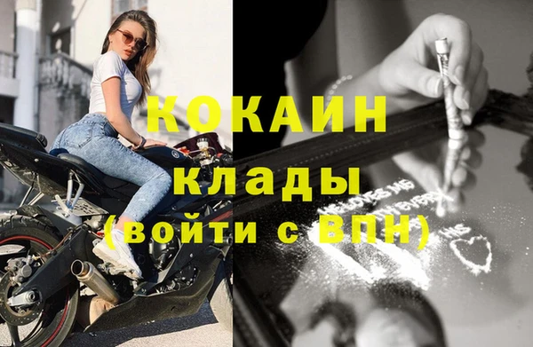 стаф Медногорск