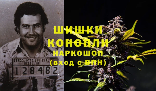 стаф Медногорск
