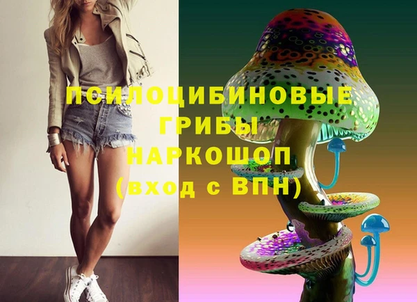 эйфоретик Медвежьегорск