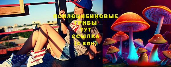 эйфоретик Медвежьегорск