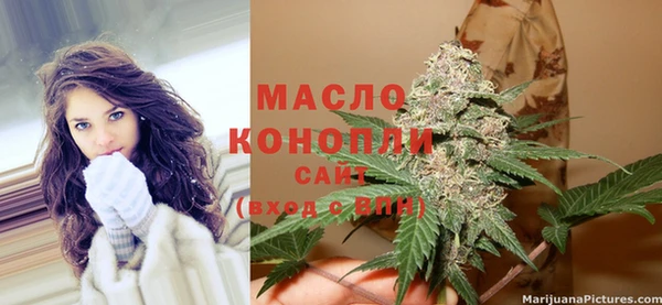 стаф Медногорск