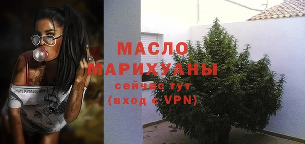 стаф Медногорск