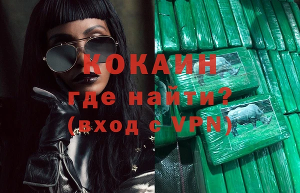 прущие грибы Михайлов