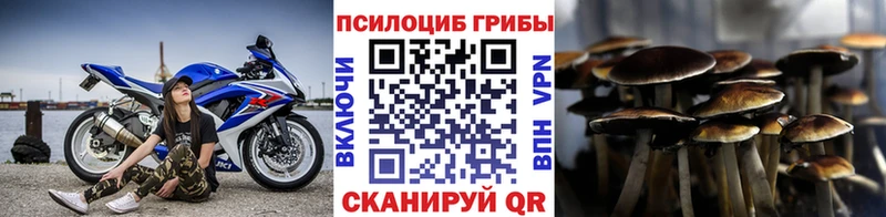 Галлюциногенные грибы MAGIC MUSHROOMS  Купить  Ишим 